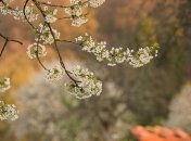 Тит-ледолом: народные поверья и приметы на 15 апреля