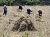 Удивительные снимки о повседневной жизни в Северной Корее (Фото)