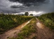 В некоторых городах дневная температура достигнет +17 градусов