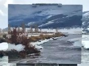 Природа на картине от художника Аарона Шерра (Фото) 