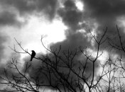 Погода в Украине на 25 февраля: пасмурно, без осадков