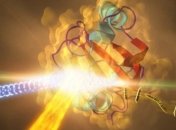 Ученые изучают реакцию белка на свет и как процесс влияет на зрение человека