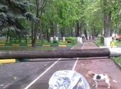 Ураган в Москве: увеличилось количество погибших 