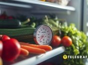 Правильна температура в холодильнику забезпечить його якісну роботу (зображення створено за допомогою ШІ)