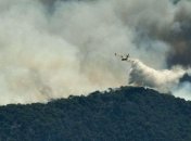 В Греции третьи сутки подряд спасатели тушат масштабный лесной пожар