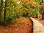 Прогноз погоды в Украине на 19 октября: будет солнечно