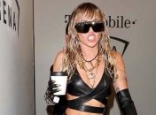 На музыкальном фестивале задержали сумасшедшего поклонника Майли Сайрус