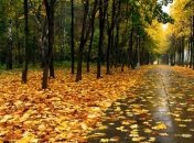 Погода в Украине 20 сентября: пасмурно, ожидаются дожди 