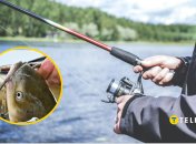 Рівненський рибалка впіймав велетня