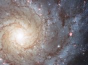 Конец света в 2100 году? 