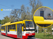 Голубь придумал более простой способ передвижения, чем летать