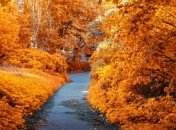 Яке свято 11 листопада: народні прикмети і заборони