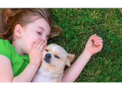 Лишай у ребенка: симптомы, лечение, профилактика