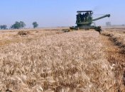 Казахстан не планирует ограничивать экспорт зерна в этом году