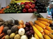 Россия продлила санкции против Украины, США и стран ЕС