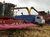 Сбор урожая зерновых в Украине завершен на треть