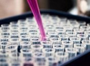 Ситуация в Новых Санжарах: Получены результаты тестов на коронавирус