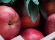 Украина побила пятилетний рекорд по экспорту яблок