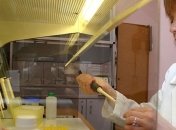 Белорусские ученые открыли секрет вечной молодости