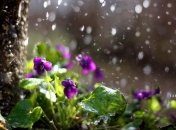 Прогноз погоды в Украине на 23 августа: почти везде будет солнечно