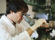 Ученые успешно испытали новый способ доставки химиотерапевтических препаратов в опухоль 