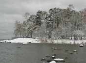 Погода в Украине на 4 декабря: пасмурно, но без осадков