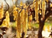 22 березня 2020 : свято, події, прикмети та іменинники