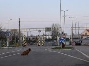 Венгрия возобновила пропуск украинцев через свою границу