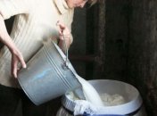 Подпольный молочный цех обнаружили в баре Луганской области