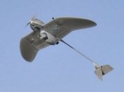 Компания WalMart надеется провести испытания беспилотников в США