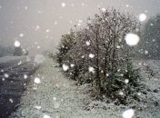 Погода в Украине 3 января: В некоторых областях ожидается снег с дождем