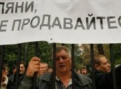 Год Японии в Украине: украинские аграрии поедут изучать рынок Японии