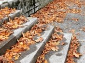 Синоптик спрогнозировал погоду в Украине на октябрь