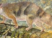 Ученые обнаружили останки вымерших карликовых львов 