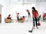 Домашняя фея: Контрольный Журнал