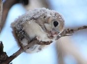 Прогноз погоды в Украине 26 февраля: усилятся морозы, солнечно