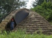 Иранский архитектор строит дома из бамбука