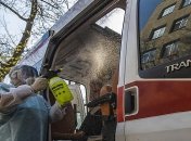 COVID-19: в Украине впервые количество выздоровлений больше чем количество больных за суткки