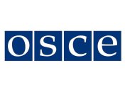 В ОБСЕ говорят об увеличении потока "зеленых человечков" 