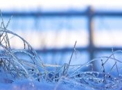 В Украине ожидают первые заморозки уже на этой неделе