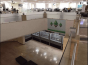 ETHEREUM GARDEN — НАЙСМІЛИВІШИЙ МАЙНІНГ-ПРОЄКТ СХІДНОЇ ЄВРОПИ