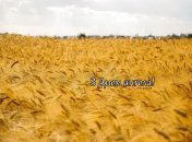 Разобрались, кого поздравляем с Днем ангела 16 августа