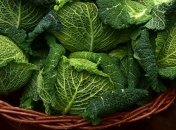 Праздник 24 сентября: главные приметы и что категорически запрещено делать