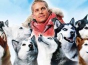 Пятерка трогательных фильмов о собаках