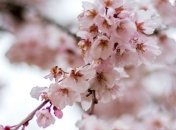 Какой праздник 11 мая: народные приметы и запреты