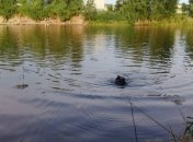 В Киеве ГСЧС обнаружила тело мужчины в озере