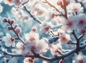 Усього +3 градуси: в Україну йде похолодання, в які області повернеться зима