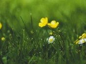 Тепло наступает: чем "удивит" погода сегодня, 5 апреля