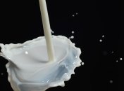 Самые популярные мифы о молоке