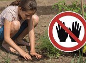 Огородные дела следует отложить на другой день